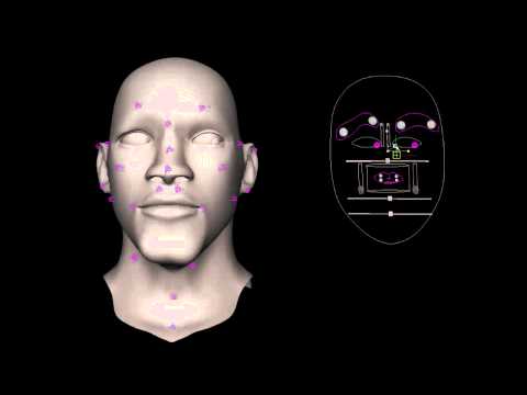 Simple Facial Rig Preview