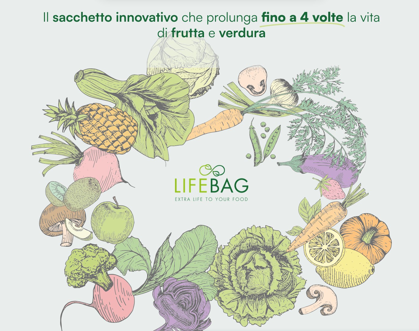 LifeBag Case Study